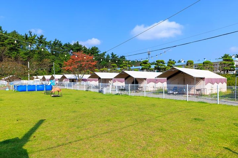 펫앤트리 대표 사진