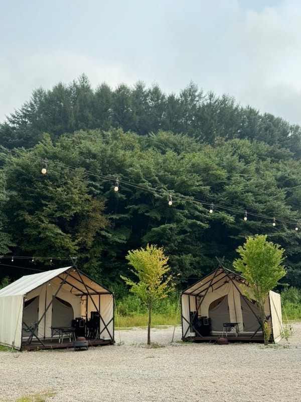 포천글램핑장 깨끗하고 시설좋은 호랑이캠핑 포천 산정호수점
