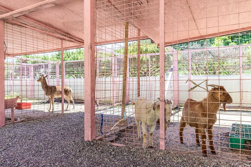 행화촌자연테마파크 시설 사진 18