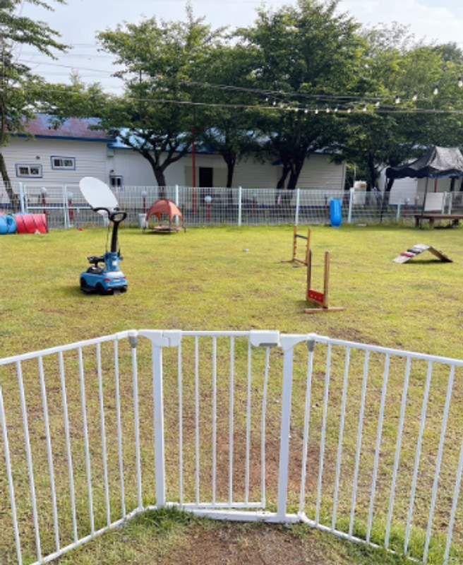 서산펫앤트리펜션, 애견동반펜션과 애견글램핑의 완벽한 조화