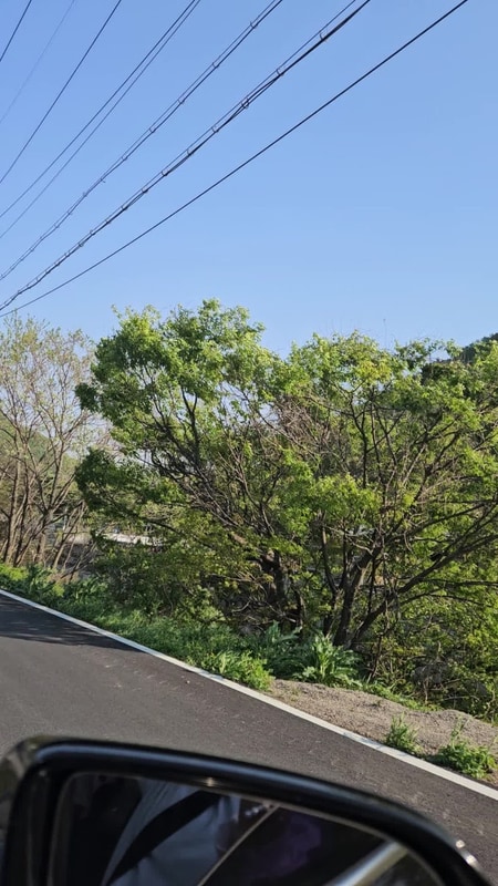 경주 반딧불이 오토 캠핑장