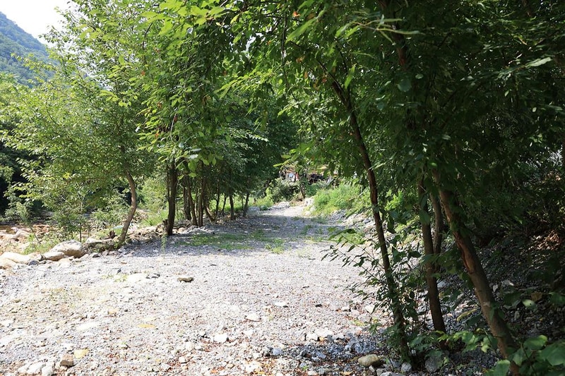 하우스 캠핑장 시설 사진 10