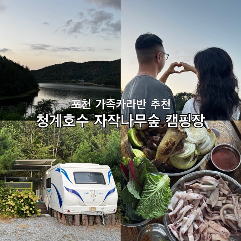 포천 캠핑장 청계호수 자작나무 숲 가족 카라반B 솔직 후기