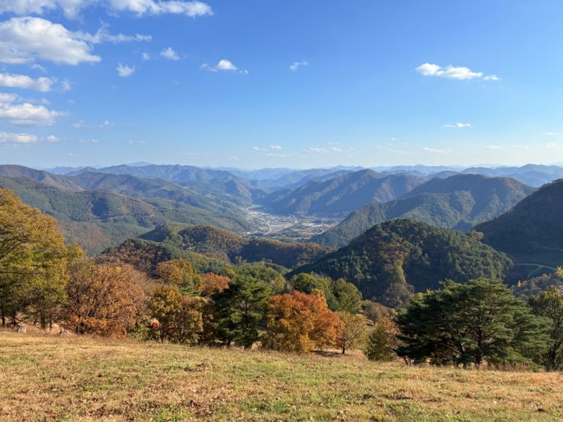 지금이 딱! 강원도 평창 가을캠핑 '산너미목장'