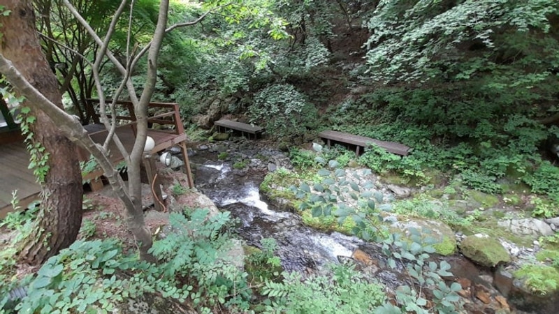 [정선 도원펜션 & 캠핑장] – 정선계곡펜션에서 불멍과 바베큐가...