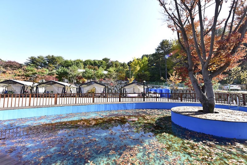 메이플트리글램핑 시설 사진 12