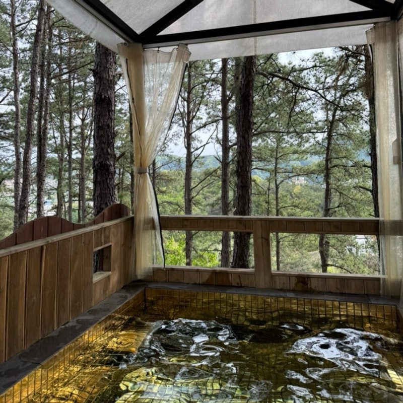 [경기/양평] 나무 아래... 캠핑! 골든쌔들캠핑장 / Apr.2025