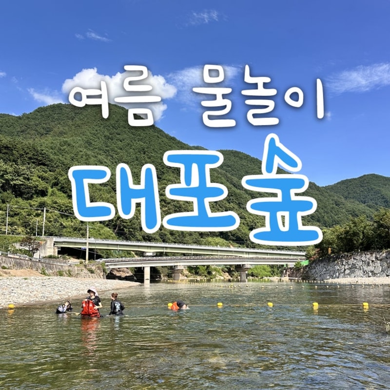 여름 물놀이: 경남 산청 계곡 대포숲캠핑장