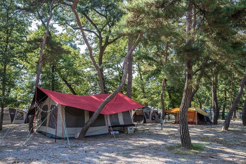 숲속의하모니 시설 사진 13