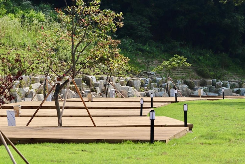 캠핑에 바나나 시설 사진 12