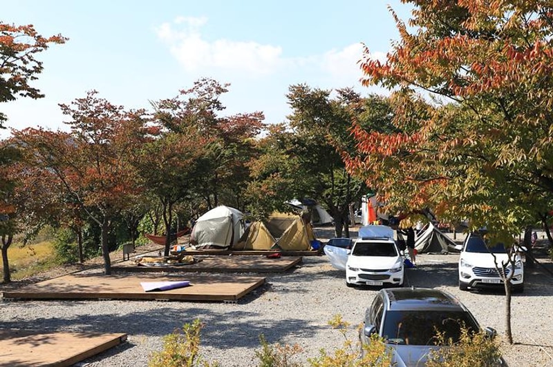 로하스캠핑 대표 사진