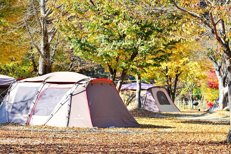 별빛오토캠핑장 시설 사진 10