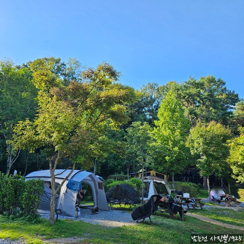 서울 노원[초안산캠핑장]서울내 캠핑장 예약 및 사이트 리뷰
