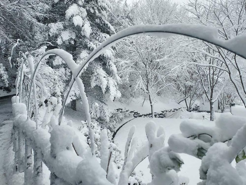 횡성산울림오토캠핑장 시설 사진 19