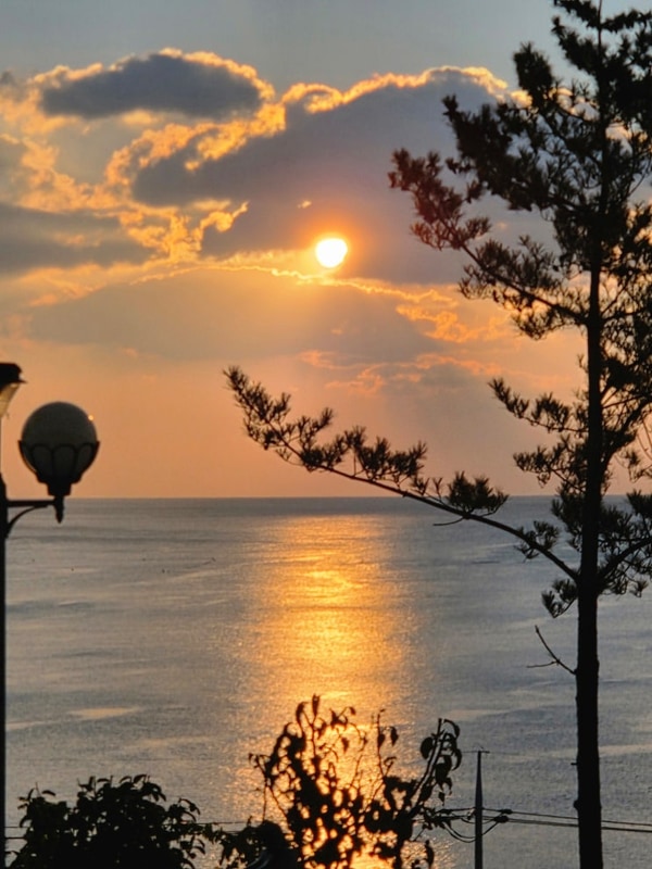 영덕애견동반숙소 스페이스영덕프리미엄글램핑A동