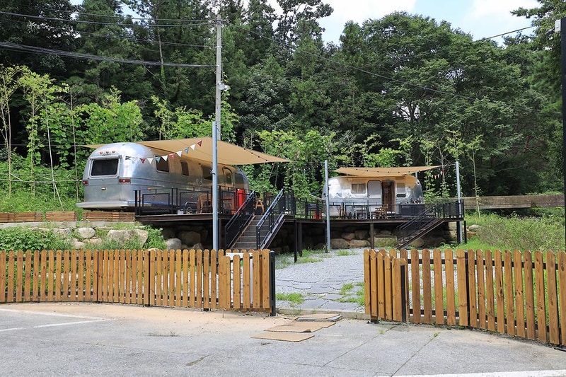 선인장 시설 사진 17