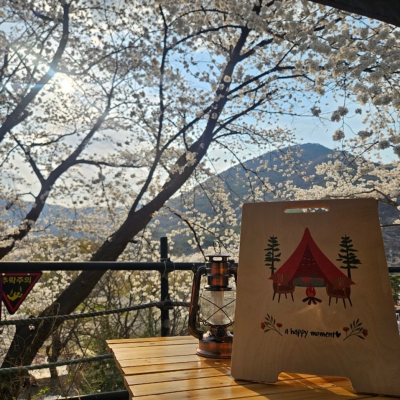 [밀양미르오토캠핑장] 벚꽃이 만발한 날 2박3일 캠핑