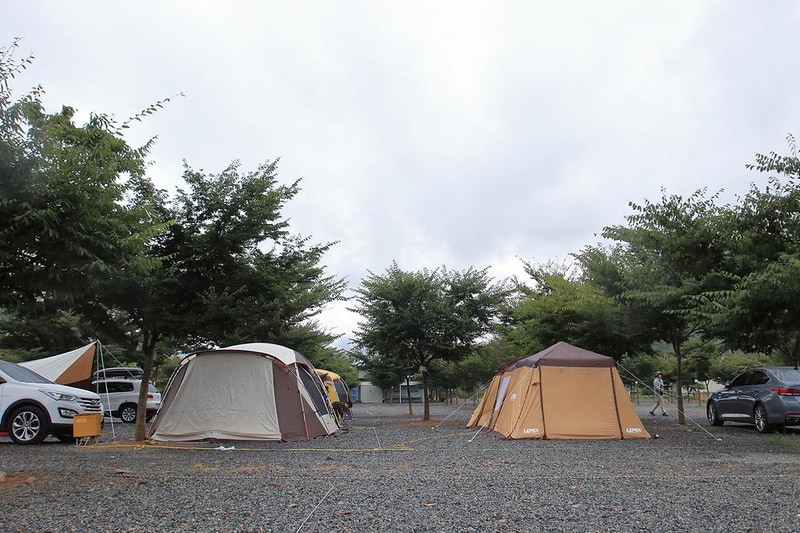 캠프원 관광농원 시설 사진 3