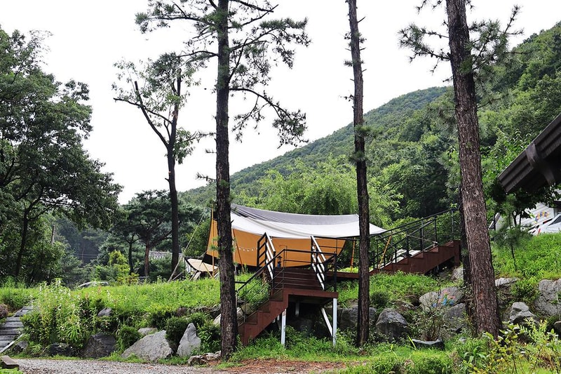 용인 자연숲 캠핑장 시설 사진 5