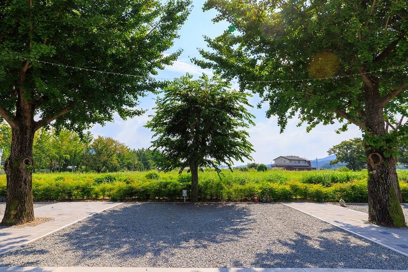 대장이랜드 농촌체험휴양마을 시설 사진 13