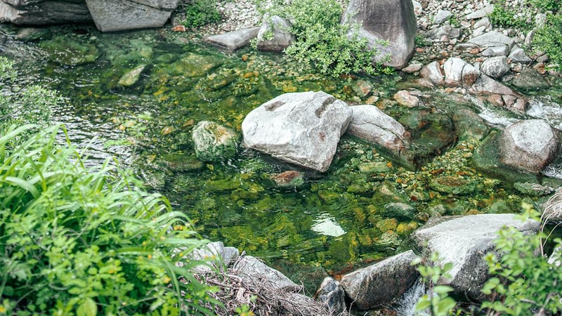 영월 엄둔밸리 계곡캠핑장 시설 사진 15