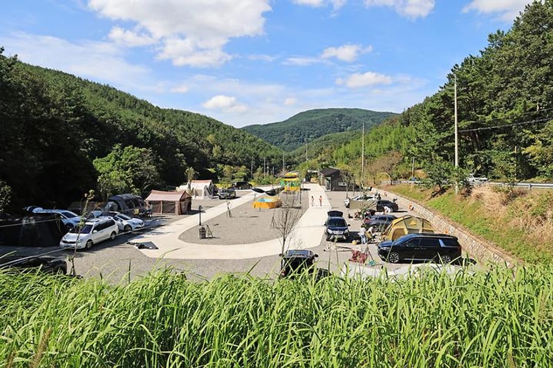 호노골 캠핑장 대표 사진