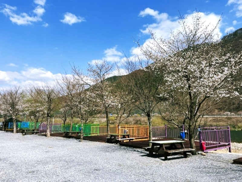 [충북/단양] ‘무지개 오토캠핑장’ 후기 (명당, 부대시설...