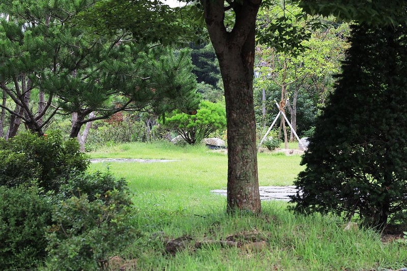 더 포레스트 시설 사진 6