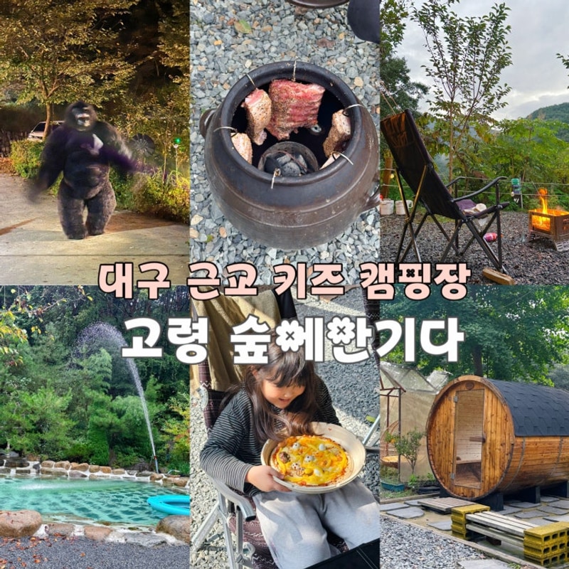 대구 근교 경북 고령 오토캠핑장 숲에안기다 아이와 함께...