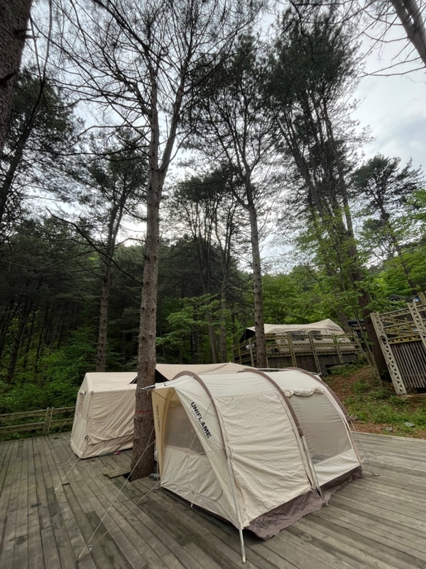숲속 데크와 계곡이 있는 포천 엉클킴스캠핑장 B11후기