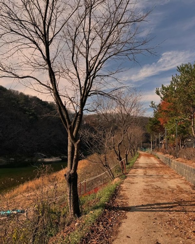 [캠핑장 리뷰] 제천 산내들캠핑 - 고즈넉한 냇가 뷰와 방방이가...