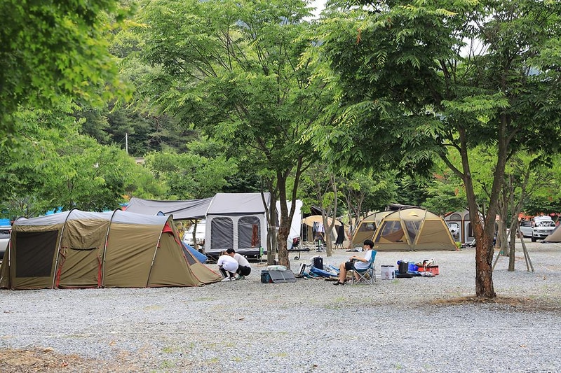 웰컴투캠프 시설 사진 8