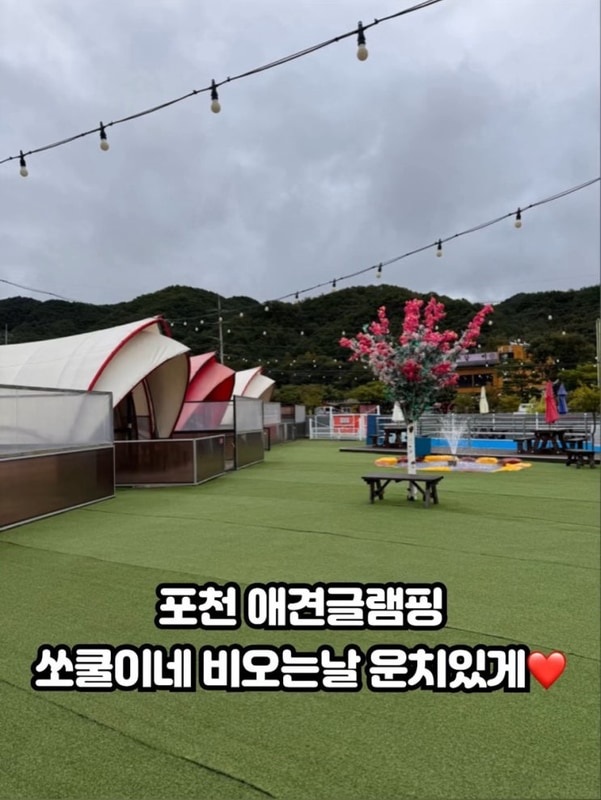 포천애견글램핑 [쏘쿨이네글램핑] 청결함 최고!