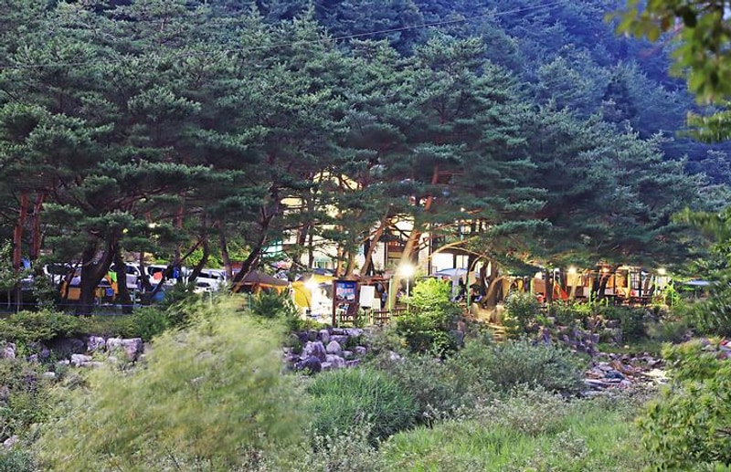 엄둔솔밭빌리지 대표 사진