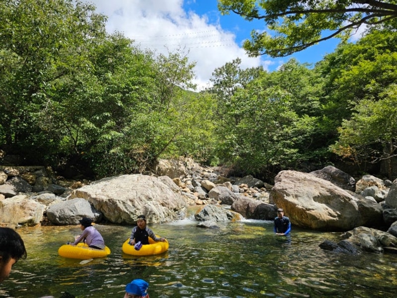 경남 양산 취사가능 계곡 추천! 사지목 캠핑장 물놀이까지...