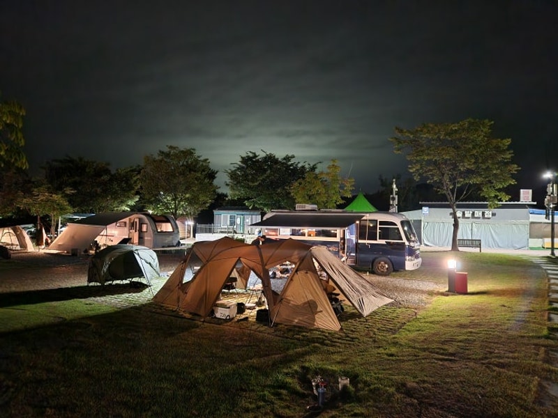 충주 목계솔밭캠핑장 A54