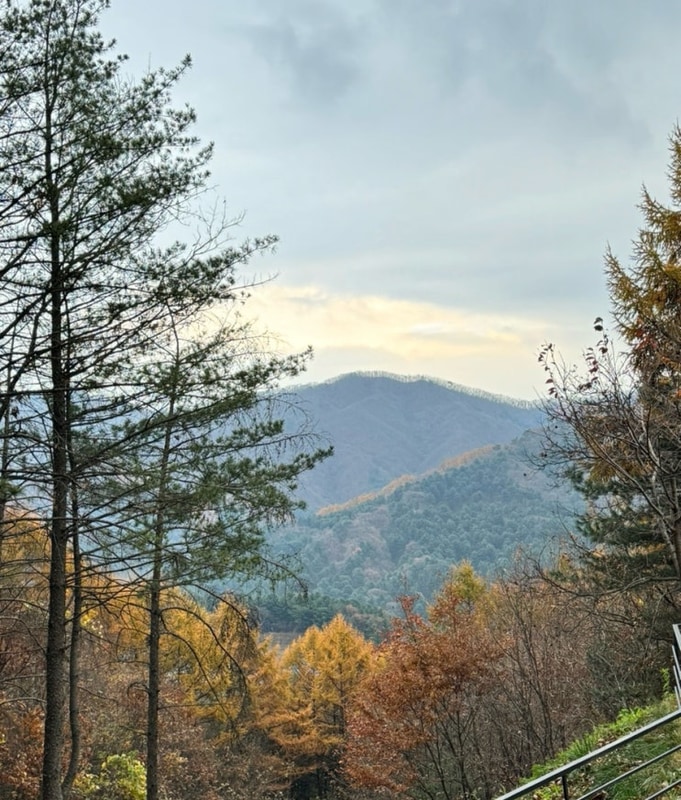 가을에 꼭 가봐야할 가평블루문캠핑장 단풍맛집