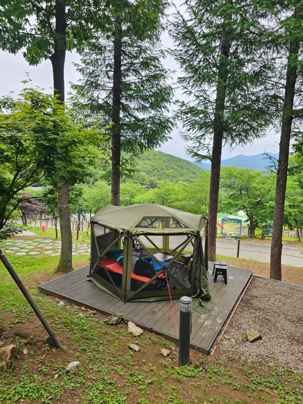 강화 덕산국민여가캠핑장 인삼마을 19번 사이트 이용기...