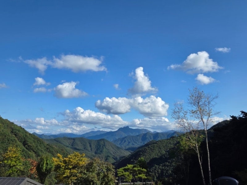 충주 재오개 캠핑장 후기