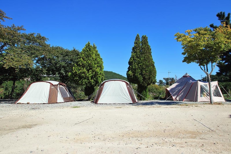 늘푸른캠핑장 시설 사진 4