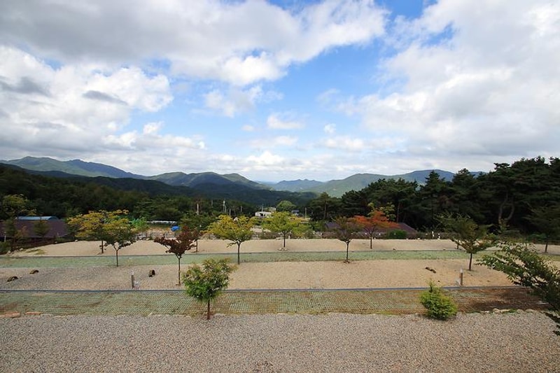 한티별빛아래관광농원 야영장 대표 사진