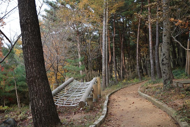 숲속야영장 시설 사진 7