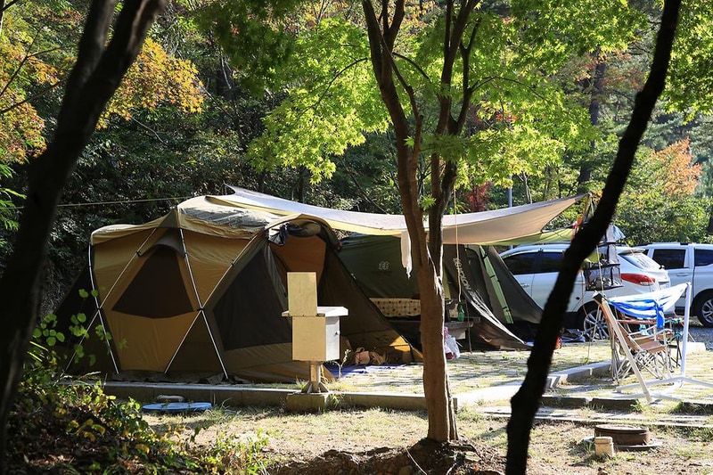 희리산해송자연휴양림 자동차야영장 시설 사진 9