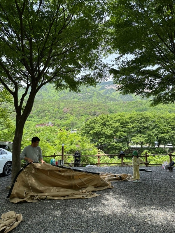 79개월 추석캠핑 밀양 사과향기캠핑장