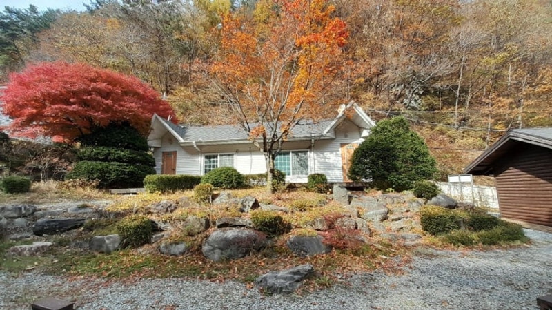 "정선 도원펜션&캠핑장, 조용하고 뷰 좋은 독채 펜션에서...