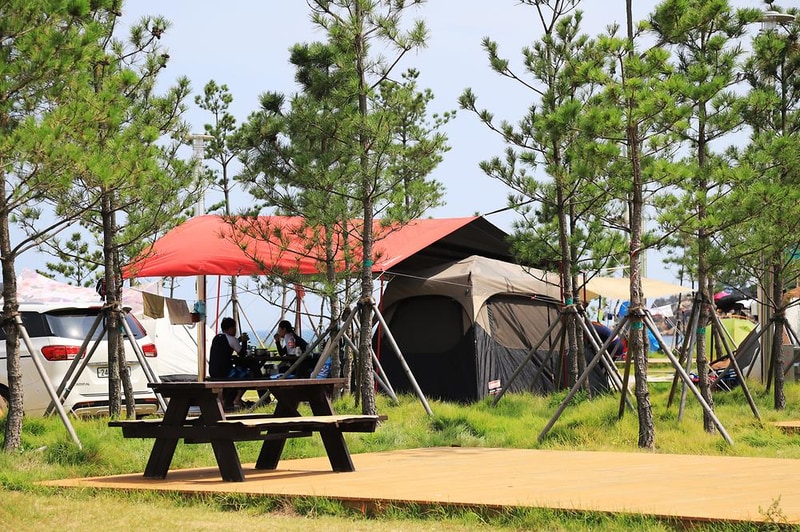 백도오토야영장 시설 사진 17