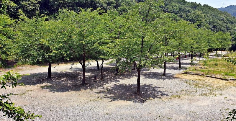 싱글벙글캠핑장 시설 사진 8