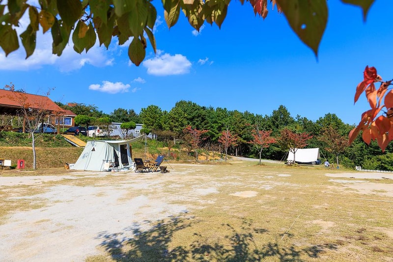 비손관광농원 야영장 시설 사진 15