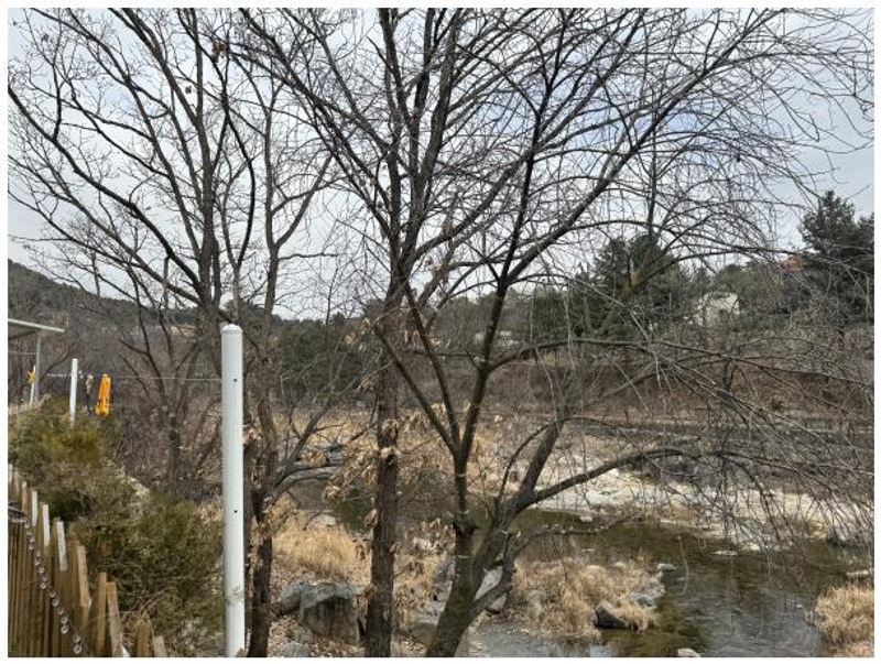 계곡 앞 최고의 글램핑, 가평 더 아리웃집 모롱공간으로 떠나자