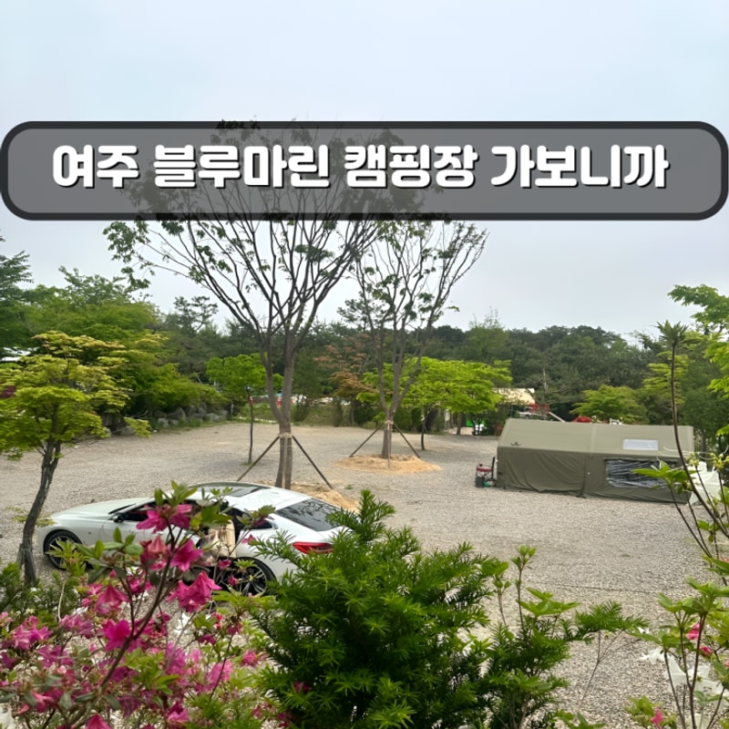 여주 블루마린 캠핑장- 차박 가능, 시설 특징, 근처 맛집
